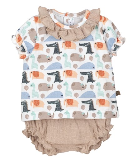 V3 Conjunto pololo Hiblea