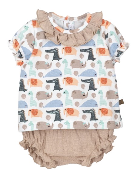 V3 Conjunto pololo Hiblea