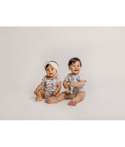 V3 Conjunto pololo Hiblea 2