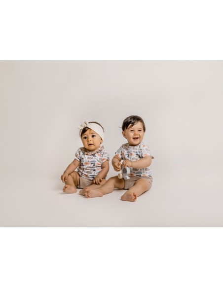 V3 Conjunto pololo Hiblea