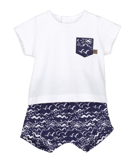 V3 Conjunto pololo Posidonia