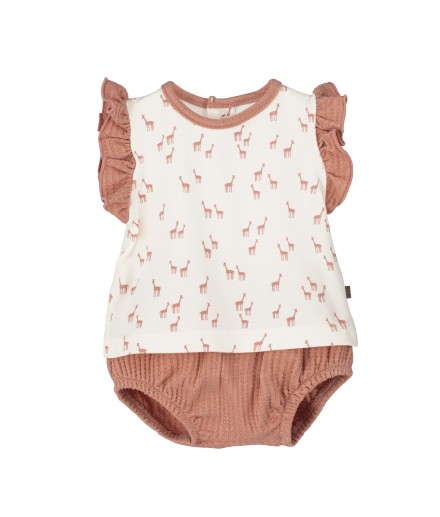 V4 Conjunto Pololo Pelitre