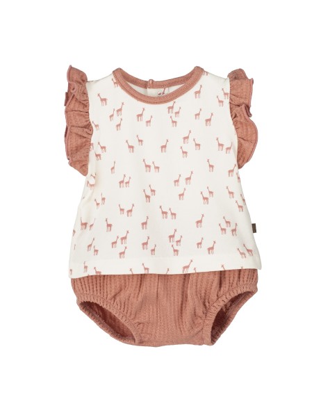 V4 Conjunto Pololo Pelitre