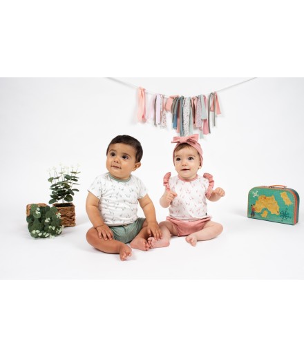 V4 Conjunto Pololo Pelitre 2