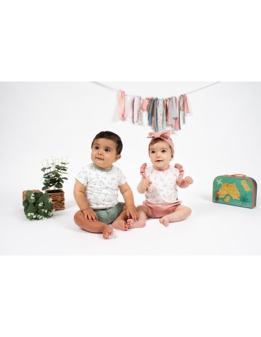 V4 Conjunto Pololo Pelitre