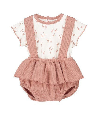 V4 Conjunto Pololo Pelitre