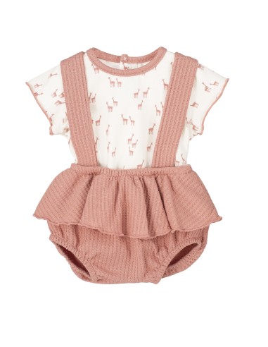 V4 Conjunto Pololo Pelitre