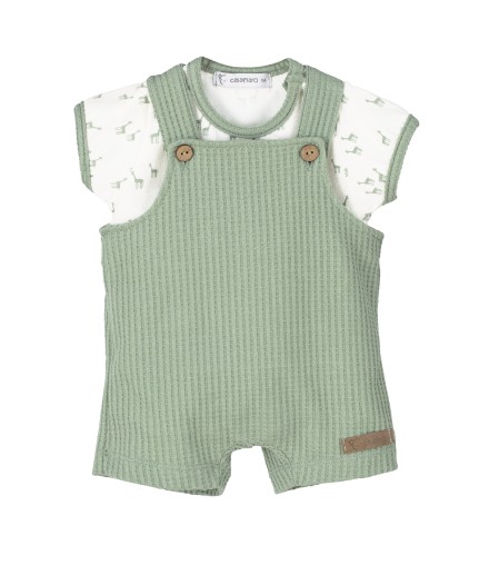 V4 Conjunto peto Pelitre