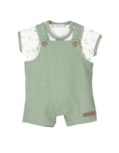 V4 Conjunto peto Pelitre