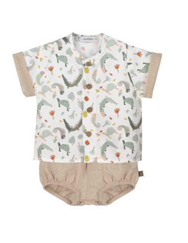 V4 Conjunto Pololo Mejorana