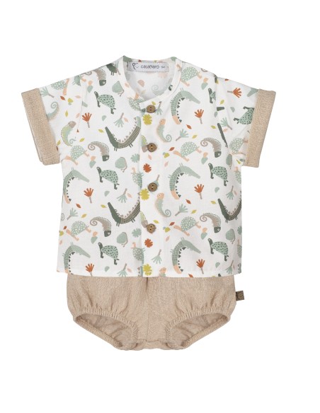 V4 Conjunto Pololo Mejorana