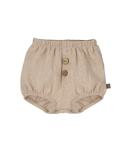 V4 Conjunto Pololo Mejorana 2