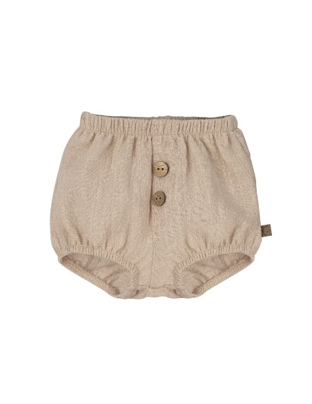 V4 Conjunto Pololo Mejorana