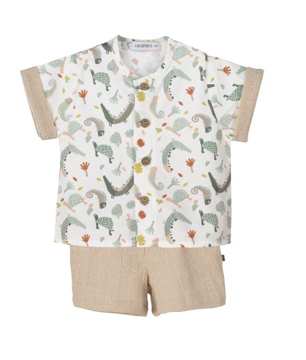 V4 Conjunto Pololo Mejorana