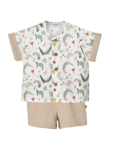 V4 Conjunto Pololo Mejorana