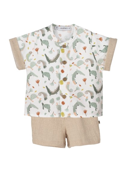 V4 Conjunto Pololo Mejorana