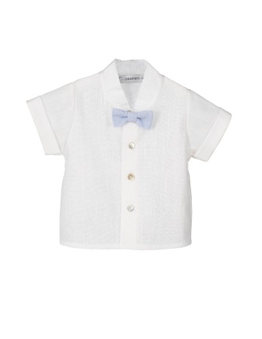 V4 Conjunto Pantalón Excellentt Anís