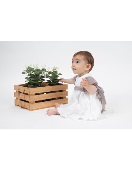 V4 Vestido Excellentt Bergamota