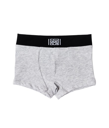 Boxer EXCEED 2