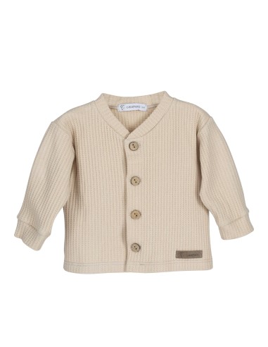 V Chaqueta Rodas