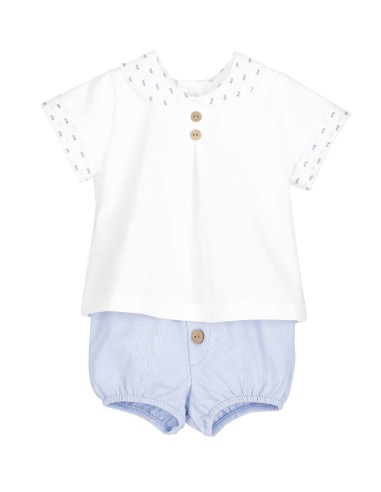 V Conjunto Pololo GOA