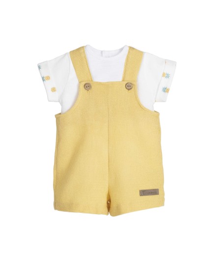V Conjunto Peto GAYA