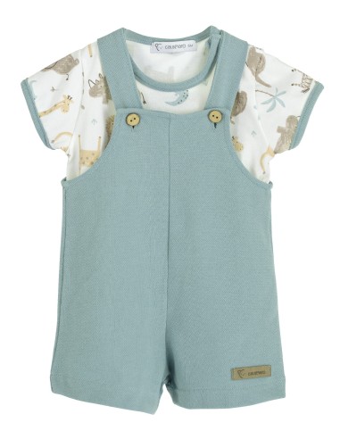 V5 Conjunto Peto Java