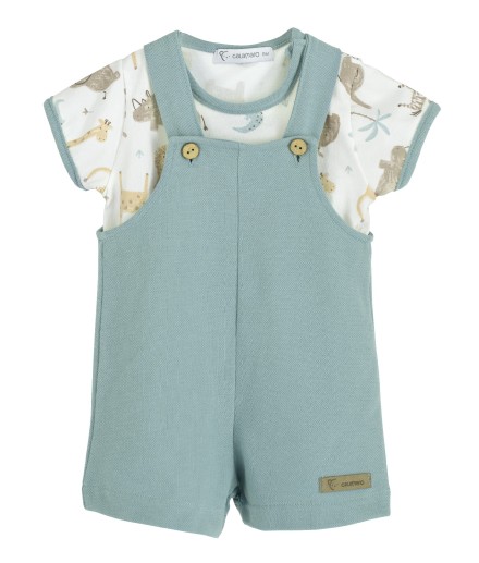 V5 Conjunto Peto Java