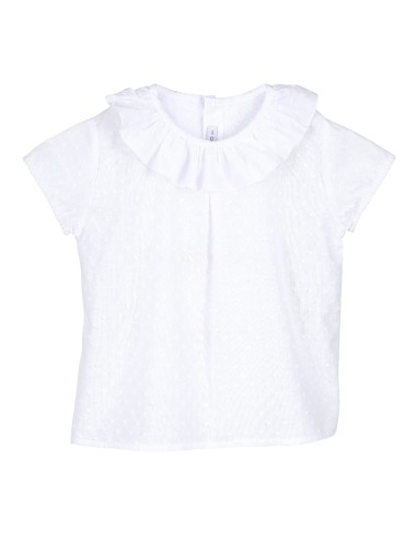 V5 Camisa Plumeti Manga Corta