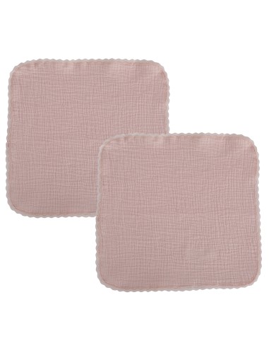 C5 Pack 2 Gasas Mini Puntilla 30x30