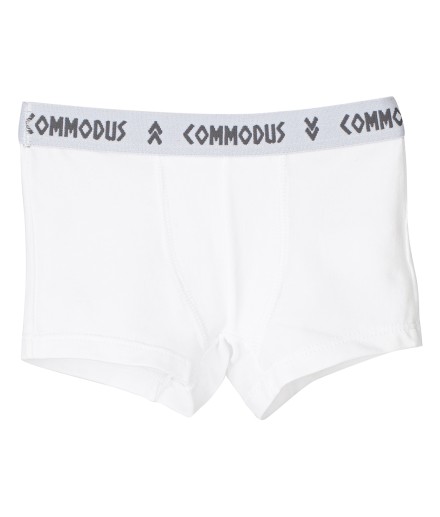 C5 Bóxer Commodus
