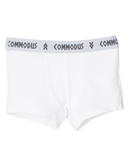 C5 Bóxer Commodus