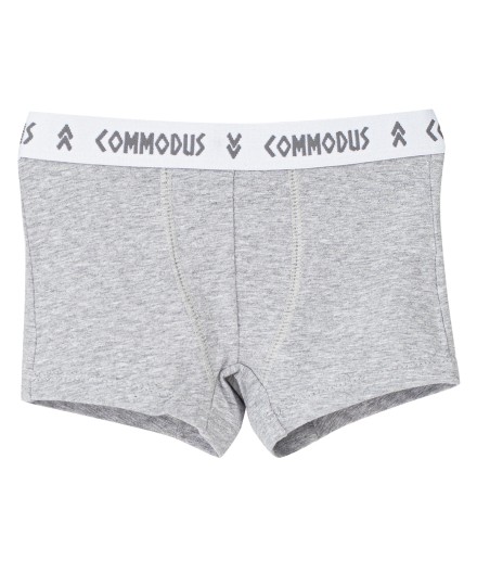 C5 Bóxer Commodus 2