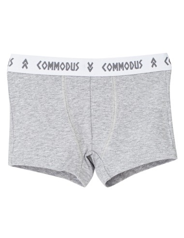 C5 Bóxer Commodus